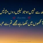 Poetry in Urdu 2 lines