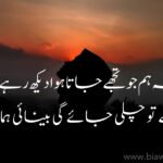 Sad Poetry in Urdu