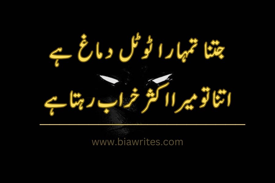 attitude poetry in Urdu