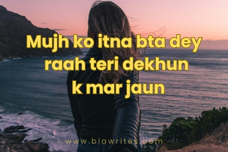 Love shayari in English