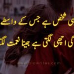 Love Poetry in Urdu