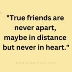 Friendship quotes